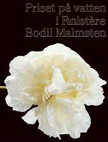 Priset på vatten i Finistère - Bodil Malmsten