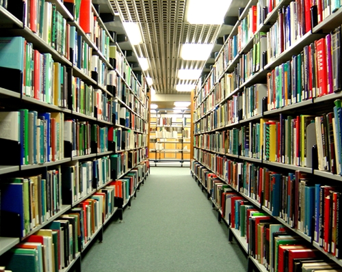 Bibliotek