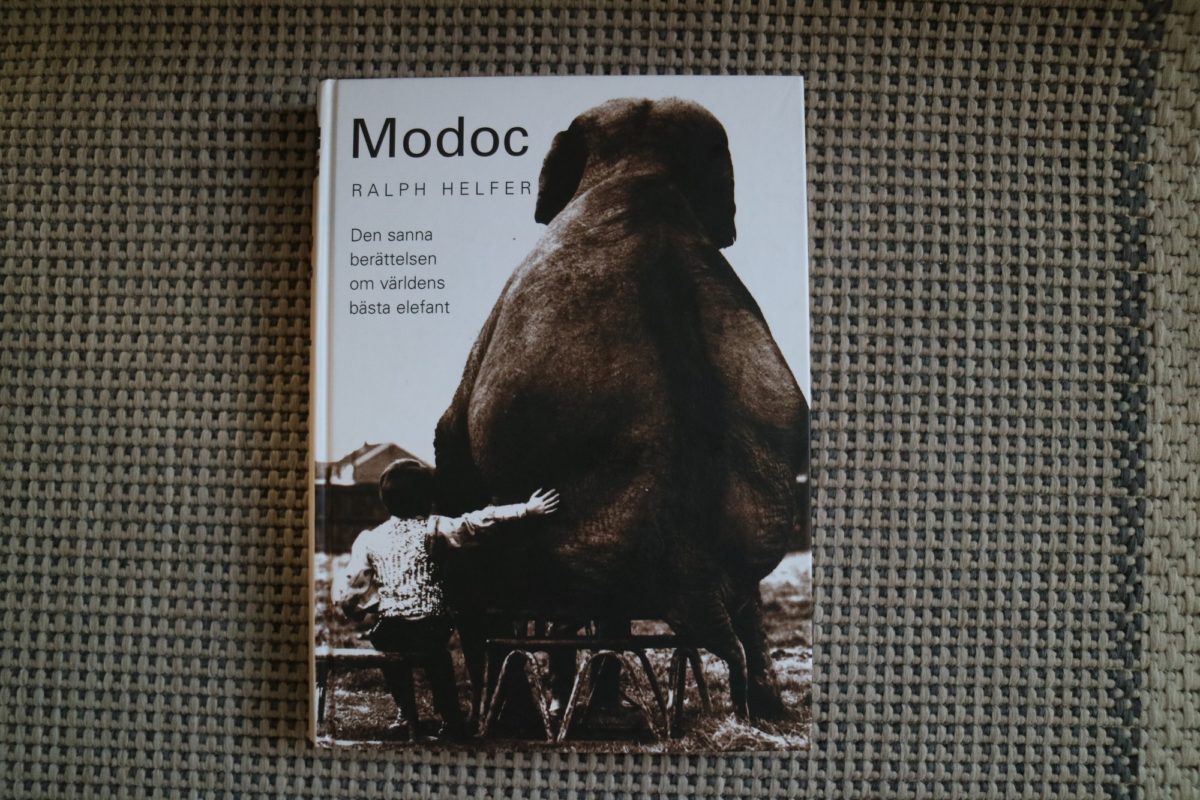 Modoc: Den sanna berättelsen om världens bästa elefant