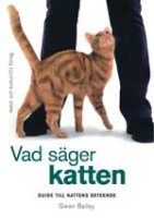 Vad säger katten: En guide till kattens beteende