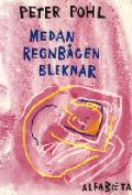 Medan regnbågen bleknar