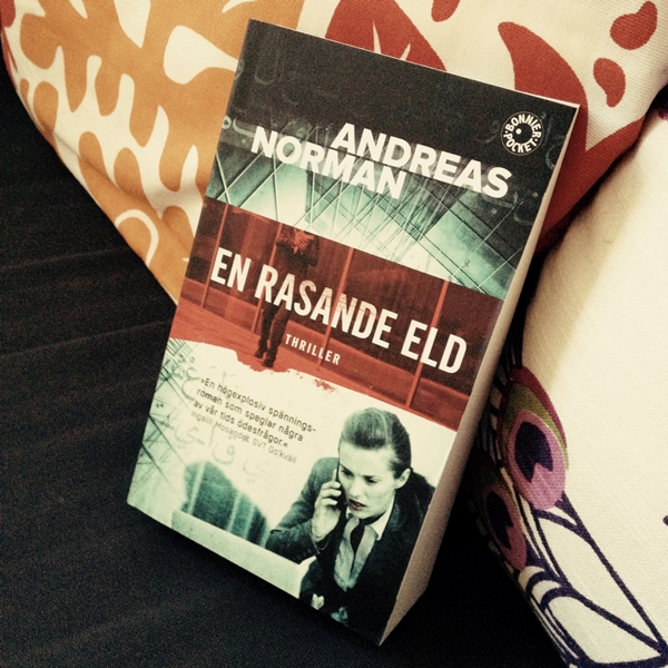 En rasande eld av Andreas Norman