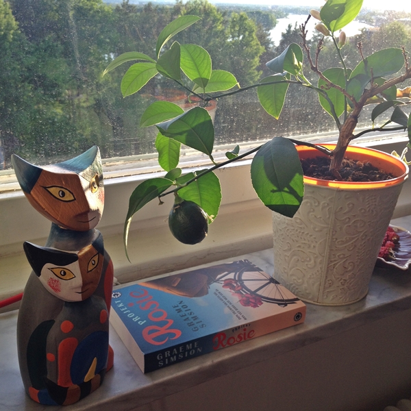 Projekt Rosie av Graeme Simsion