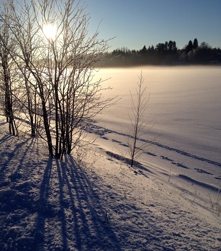 Två sommarböcker