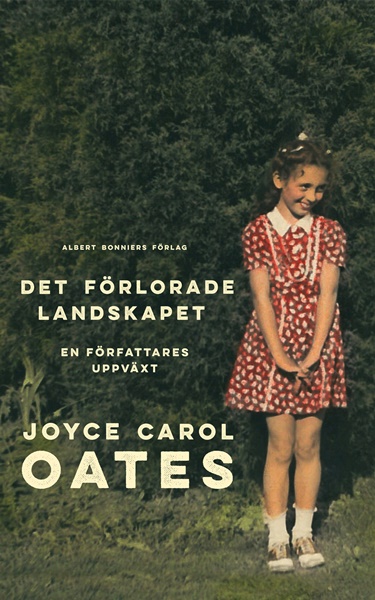 Det förlorade landskapet - Joyce Carol Oates
