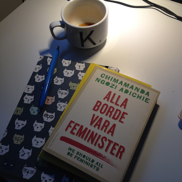 Alla borde vara feminister av Chimamanda Ngozi Adichie