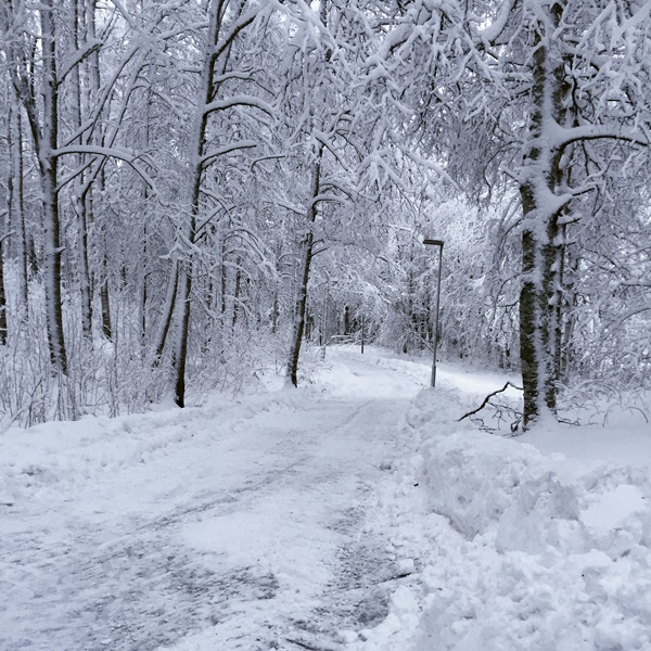 I avsaknad av en ”riktig” vinter: vintriga böcker