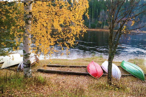 En oktoberdag tog jag sista chansen att fota en björn med höstlöv. Nu går hösten över i vinter.