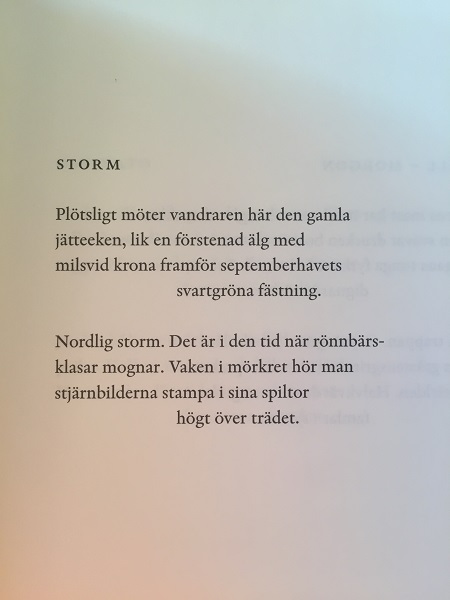 Ur 17 dikter av Tomas Tranströmer