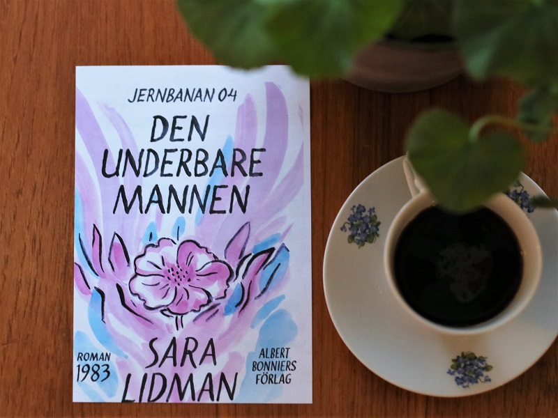 Den underbare mannen av Sara Lidman