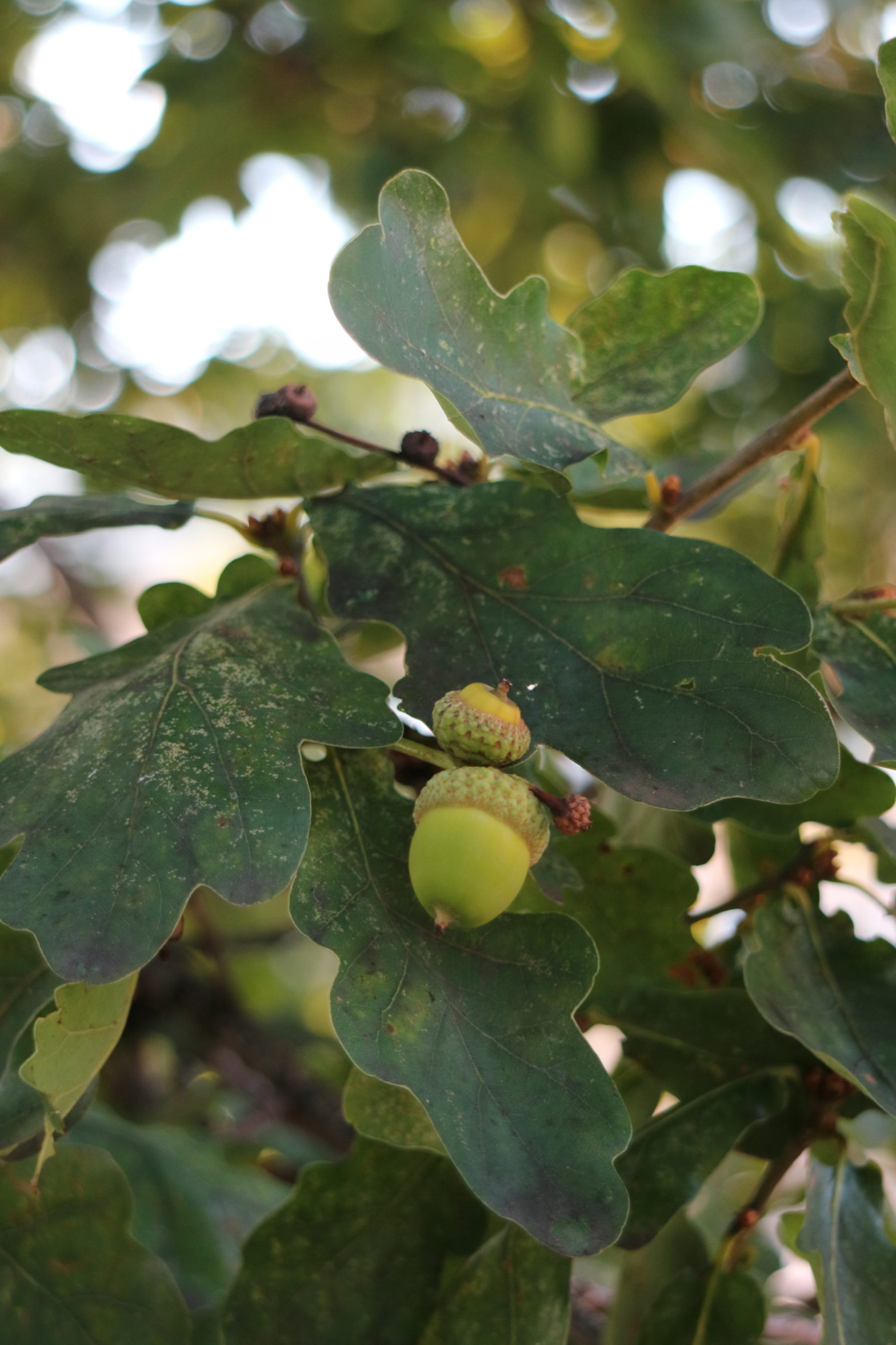 Böcker i oktober och en månad med spännande priser