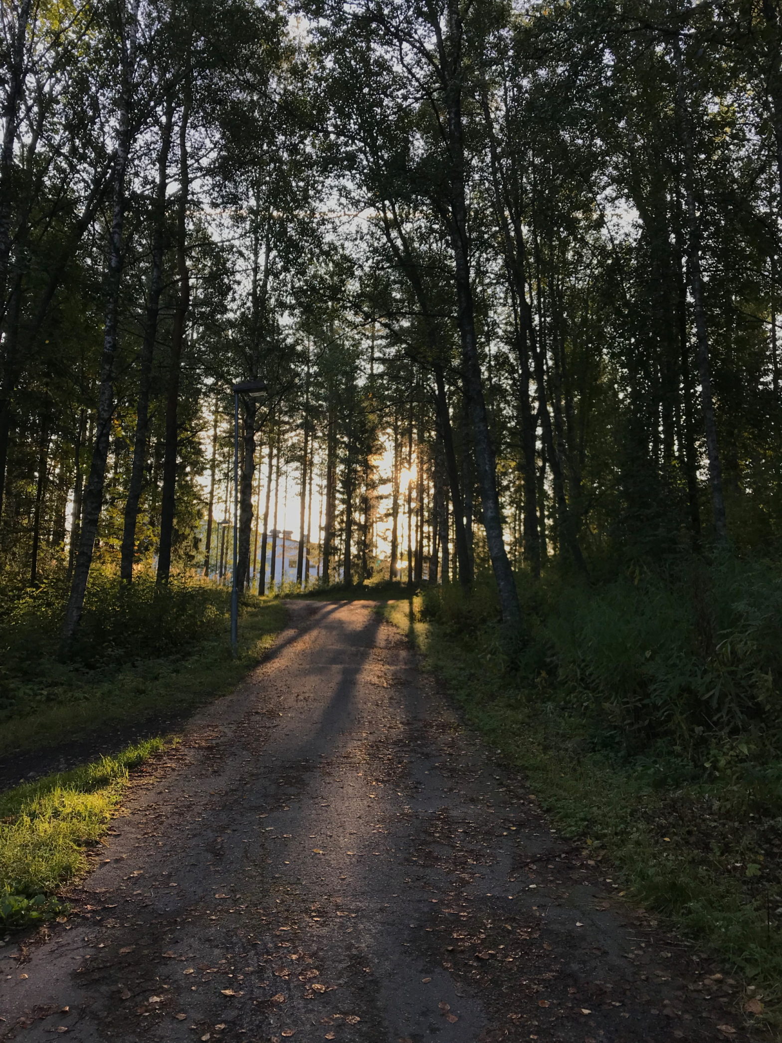 Fler nya böcker i oktober