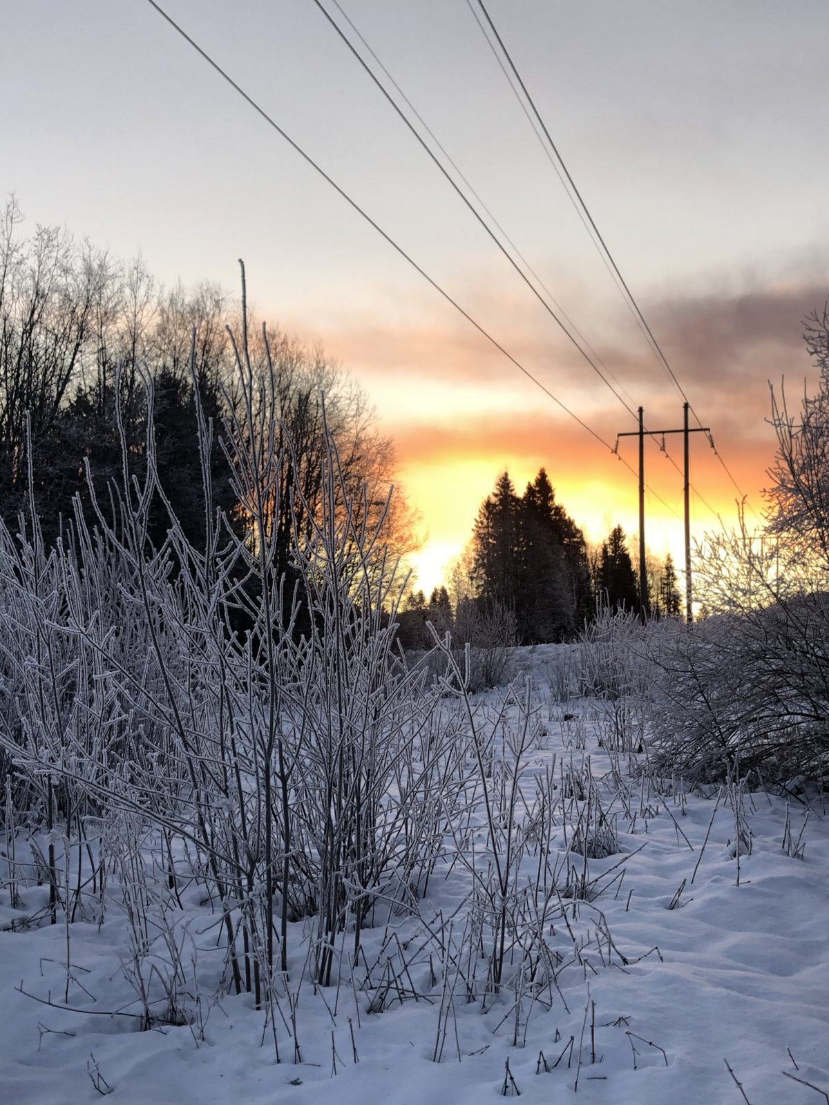 Ljuset återvände i februari.