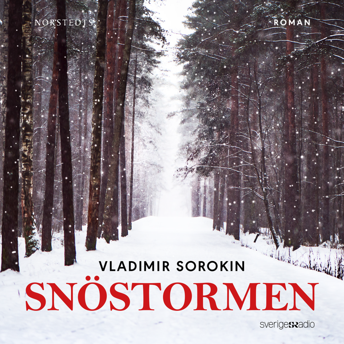 Snöstormen av Vladimir Sorokin