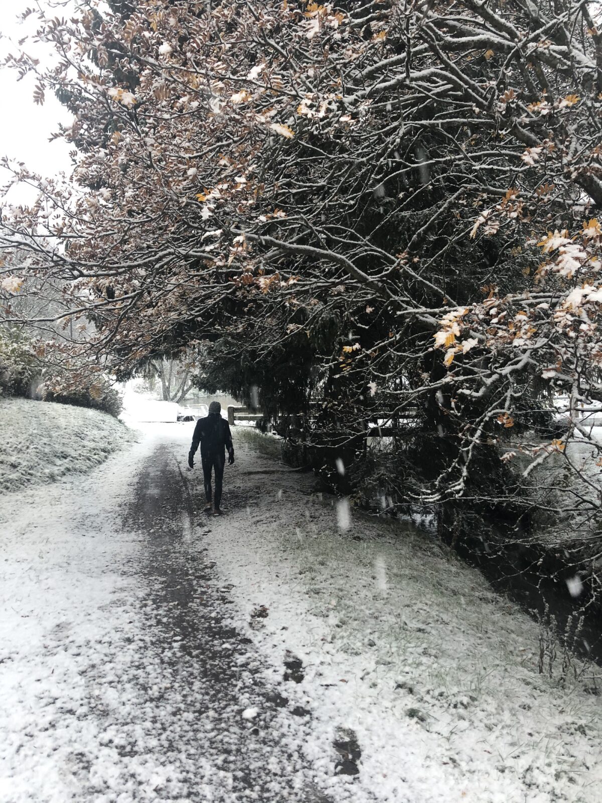 Snö i oktober