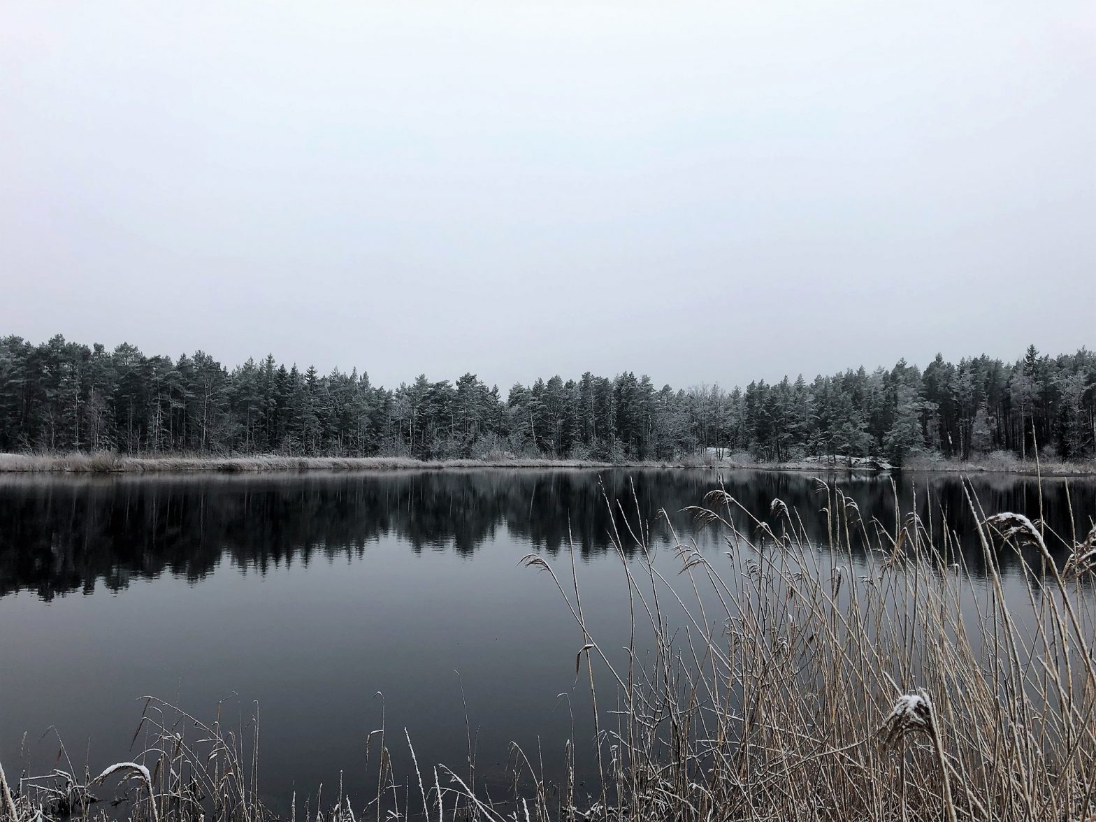 Januari 2021: nytt år, nya planer