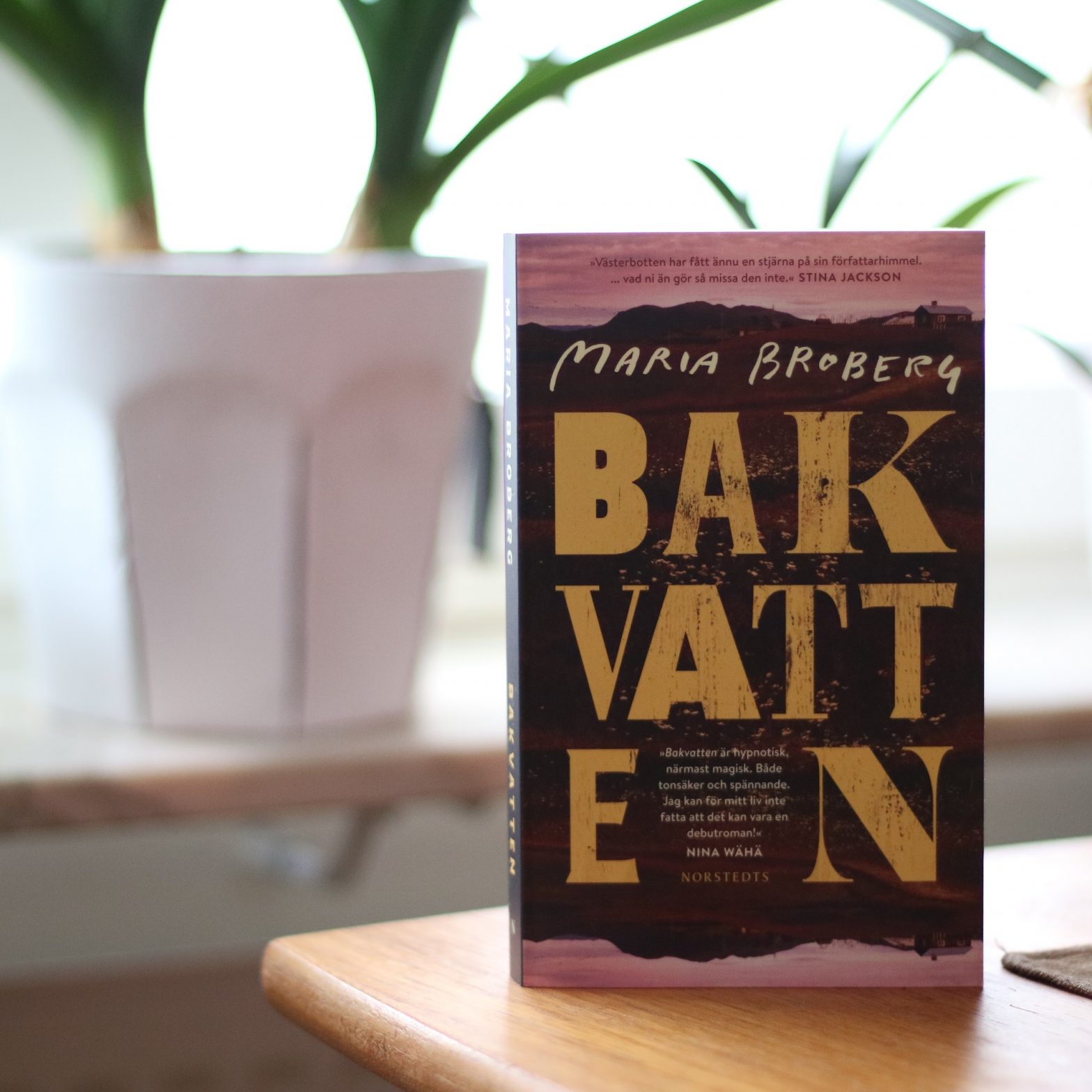 Bakvatten av Maria Broberg