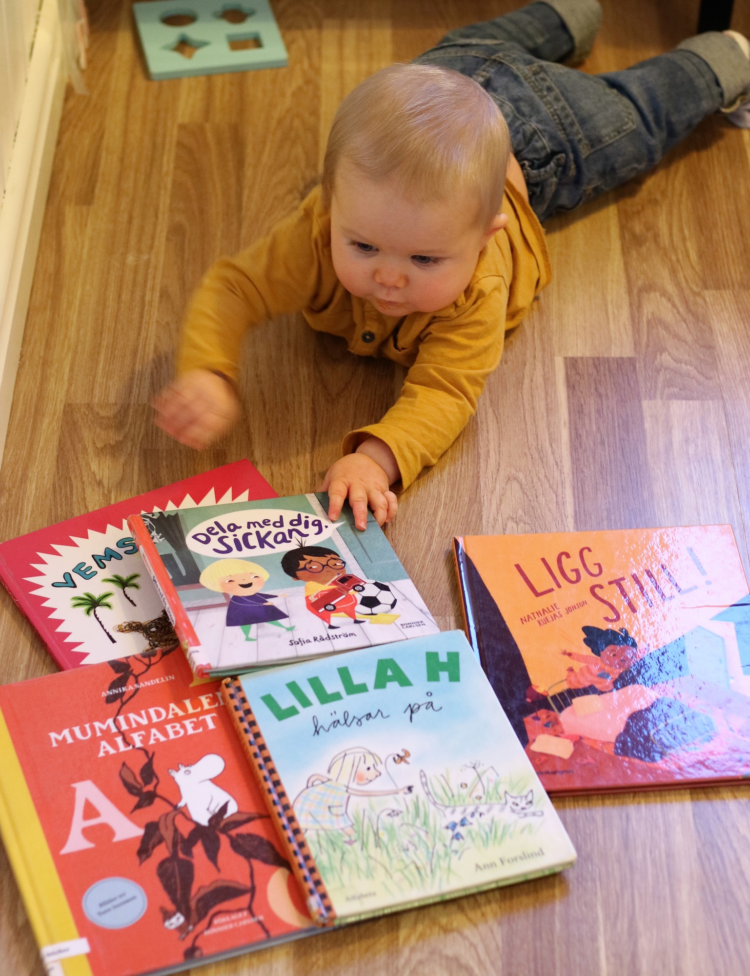 Böcker för bebisar: böcker jag läst för min 8 månaders bebis