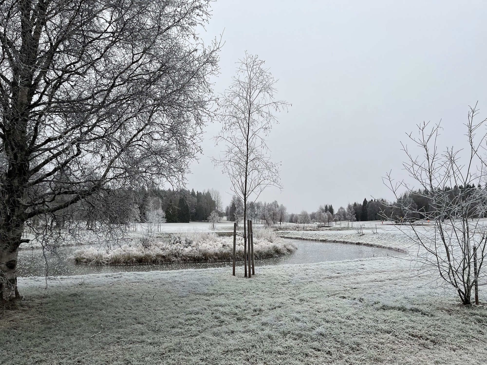 Frostig morgon i Umeå