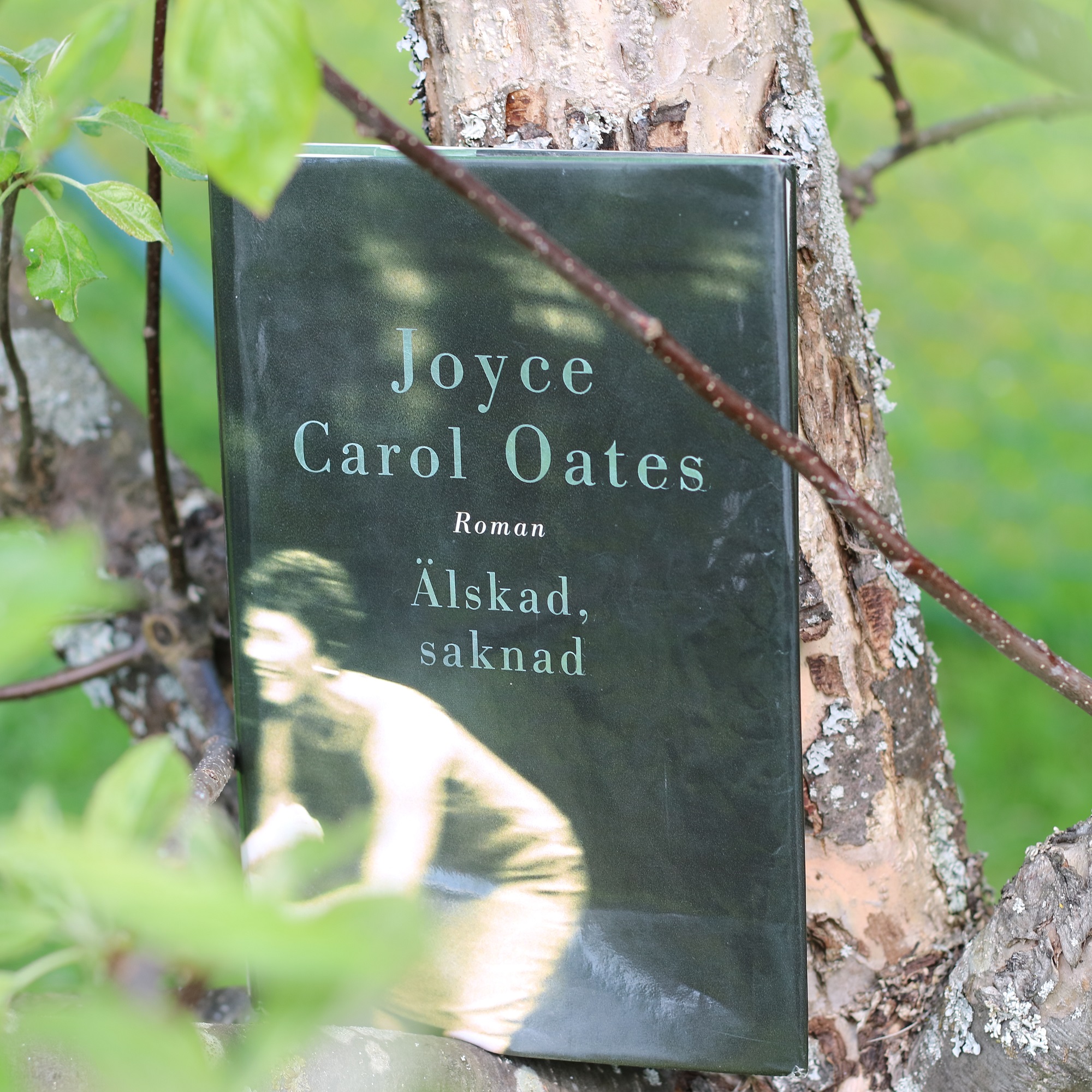 Älskad, saknad av Joyce Carol Oates (omläsning)