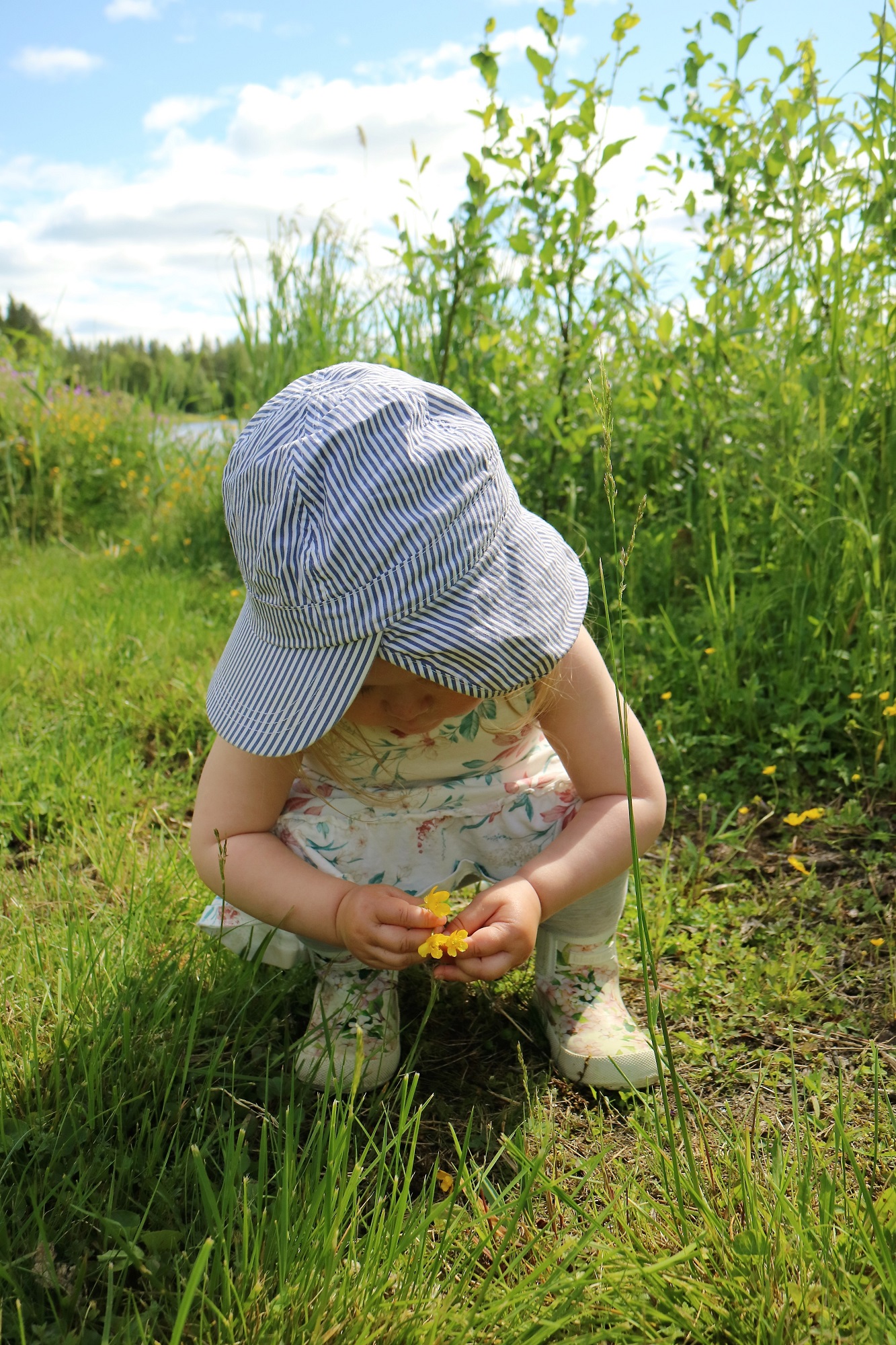 Plocka små, små sommarbuketter