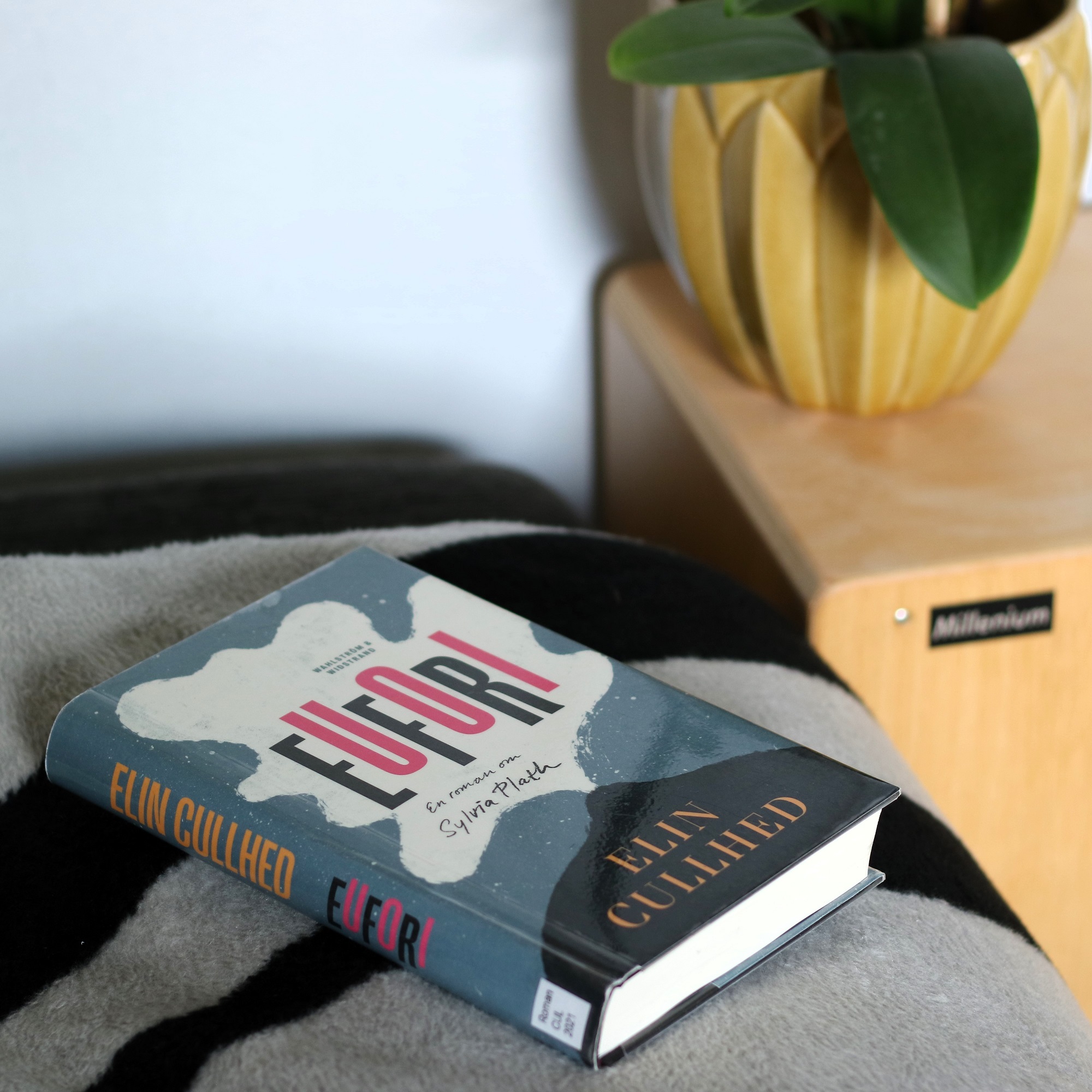 Eufori: En roman om Sylvia Plath av Elin Cullhed