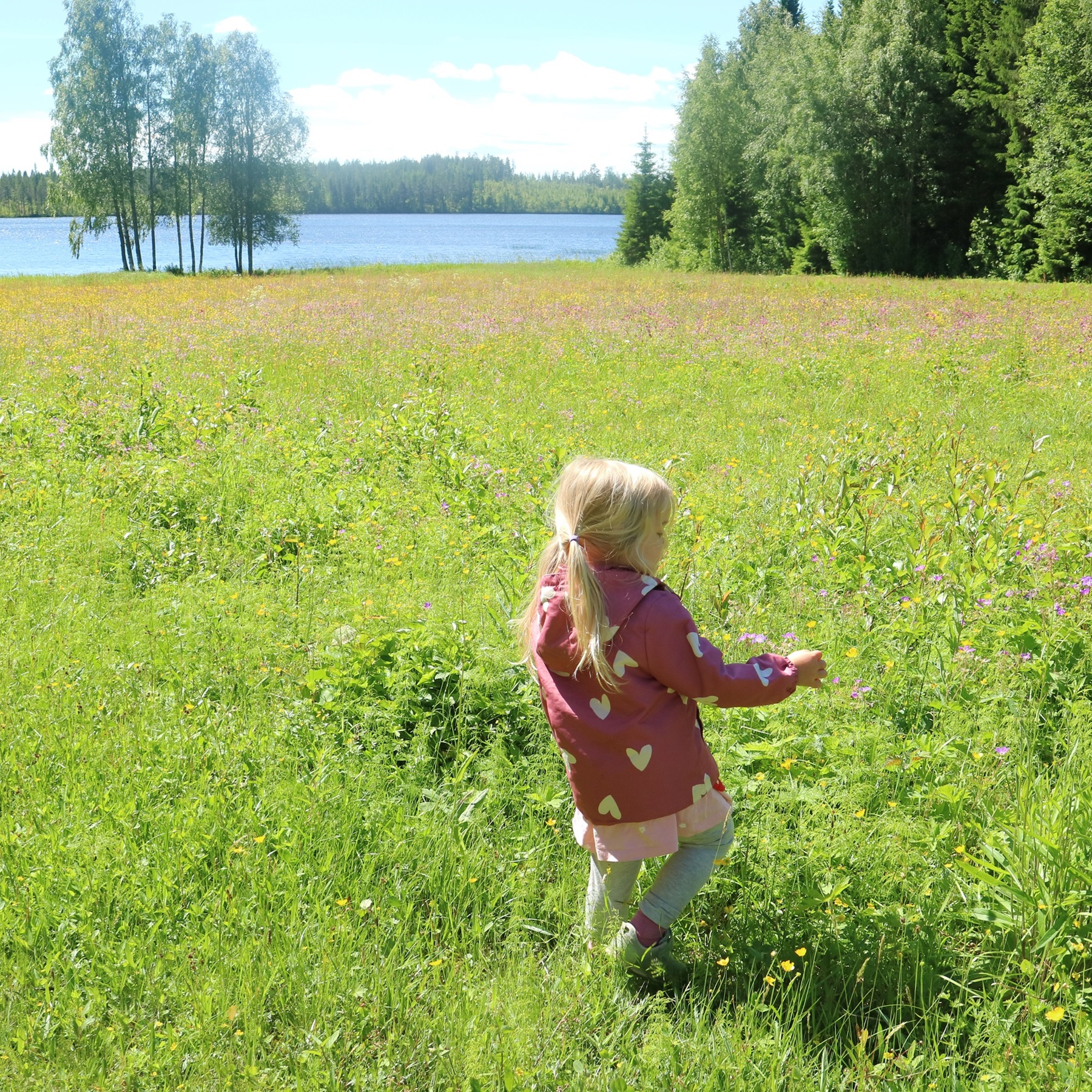 Juli 2024: sommar, sommar, sommar <3