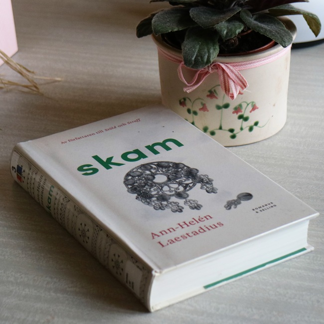 Skam av Ann-Helén Laestadius